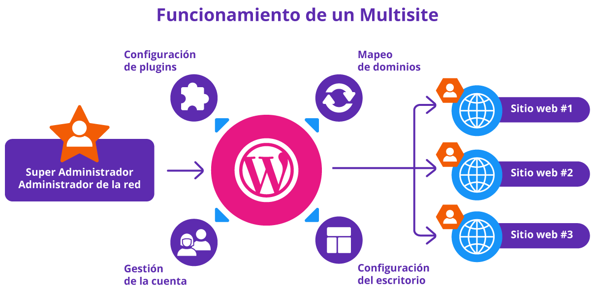 grafico sitio web wordpress multisite