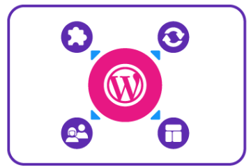grafico sitio web wordpress multisite con iconos